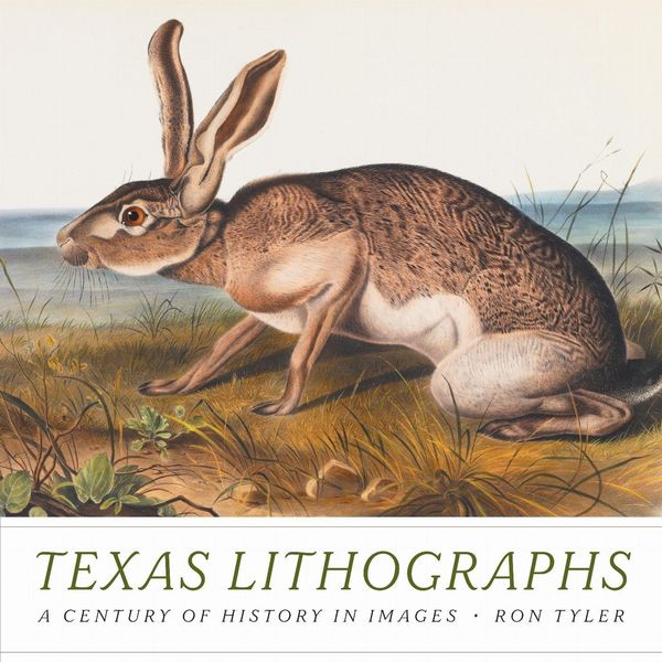 Produktbild: Texas Lithographs