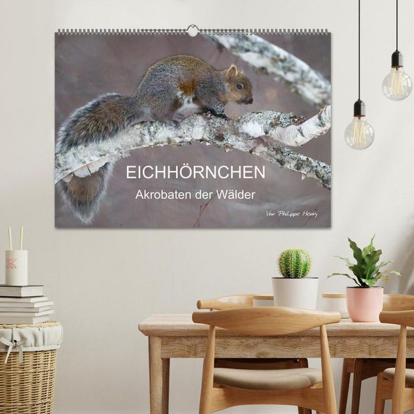 Produktbild: EICHH&Ouml;RNCHEN (Wandkalender 2026 DIN A2 quer), CALVENDO Monatskalender