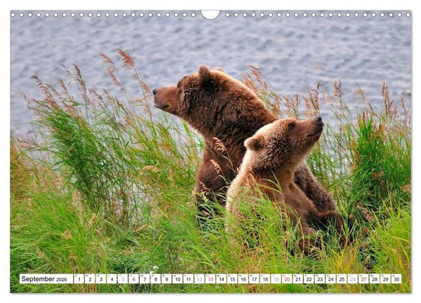 Produktbild: Alaska - Lockruf der Wildnis (Wandkalender 2026 DIN A3 quer), CALVENDO Monatskalender