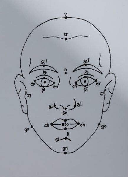 Produktbild: Megan Williams, Sheung Yiu: (Inter)Faces of Predictions