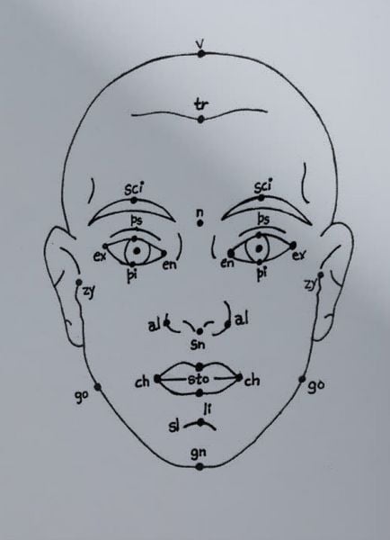 Produktbild: Megan Williams, Sheung Yiu: (Inter)Faces of Predictions
