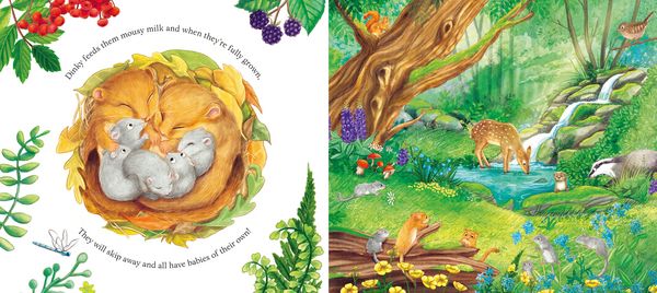 Produktbild: I am Dandy the Dormouse