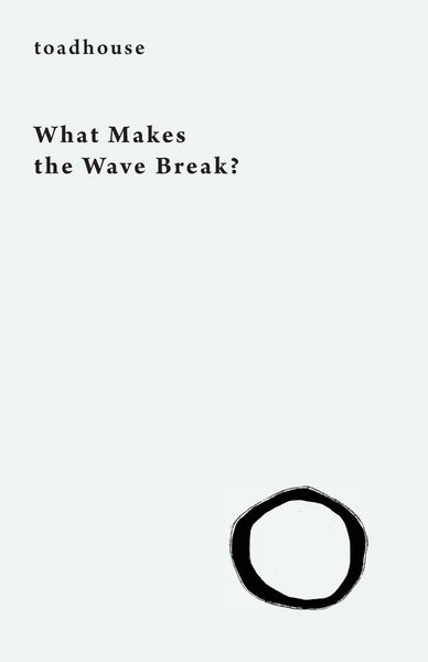 Produktbild: What Makes the Wave Break?