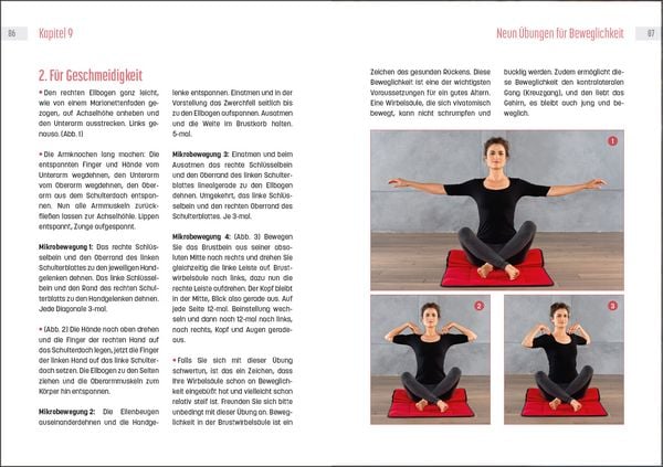 Produktbild: Powertraining mit Tigerfeeling