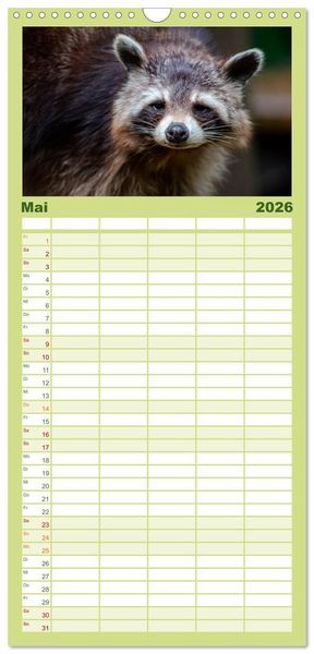 Produktbild: Familienplaner 2026 - Waschb&auml;r - Niedlicher Allesfresser mit 5 Spalten (Wandkalender, 21 x 45 cm) CALVENDO