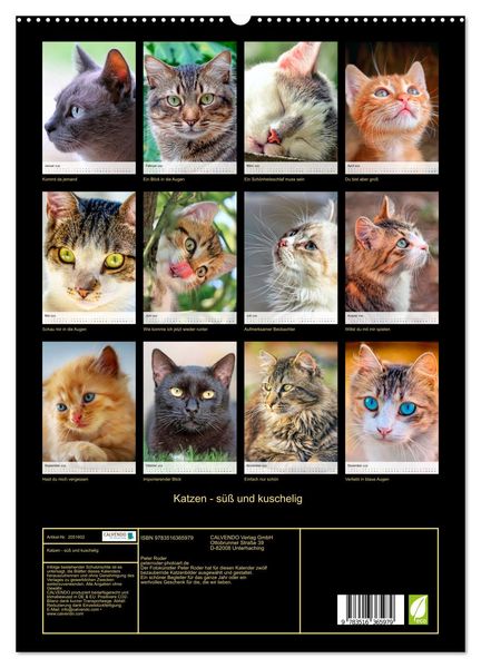 Produktbild: Katzen - s&uuml;&szlig; und kuschelig (hochwertiger Premium Wandkalender 2026 DIN A2 hoch), Kunstdruck in Hochglanz