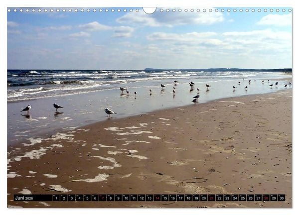 Produktbild: USEDOM - Seeb&auml;der und Naturparadies (Wandkalender 2026 DIN A3 quer), CALVENDO Monatskalender