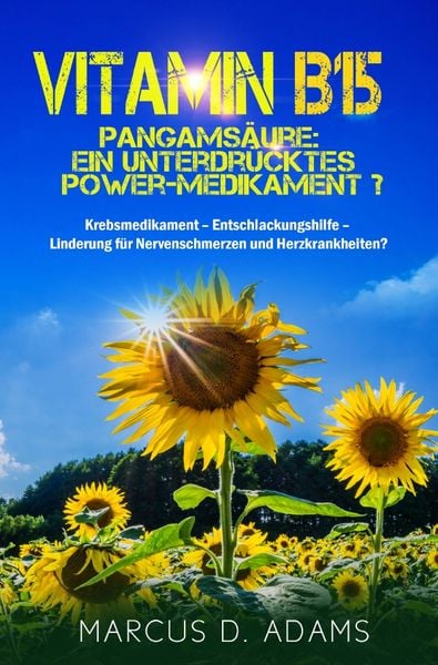 Produktbild: Vitamin B15 &ndash; Pangams&auml;ure: Ein unterdr&uuml;cktes Power-Medikament?
