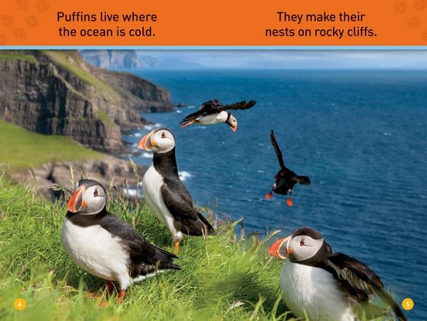 Produktbild: Puffins (National Geographic Kids Readers, Pre-Reader)