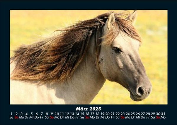 Produktbild: Welt der Tiere 2025 Fotokalender DIN A5