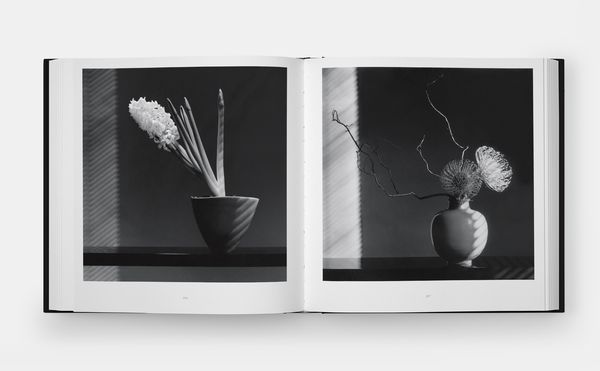 Produktbild: Mapplethorpe Flora: The Complete Flowers (2024)