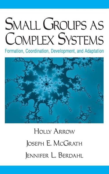 Produktbild: Small Groups as Complex Systems