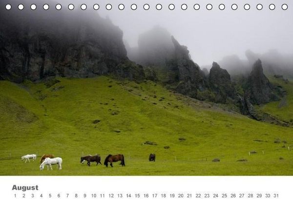 Produktbild: Islandpferde: Gef&auml;hrten der Wikinger (Tischkalender immerw&auml;hrend DIN A5 quer)