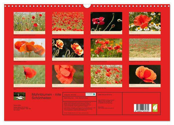 Produktbild: Mohnblumen - rote Sch&ouml;nheiten (Wandkalender 2026 DIN A3 quer), CALVENDO Monatskalender