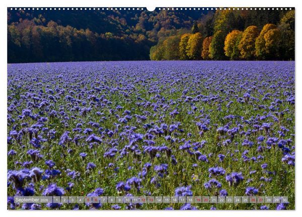 Produktbild: Wundersch&ouml;ne schw&auml;bische Alb (Wandkalender 2026 DIN A2 quer), CALVENDO Monatskalender