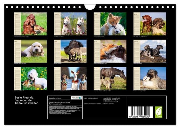 Produktbild: Beste Freunde. Bezaubernde Tierfreundschaften (Wandkalender 2026 DIN A4 quer), CALVENDO Monatskalender