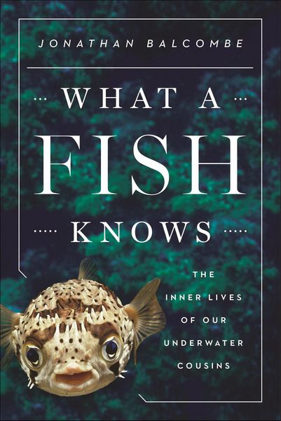 Produktbild: What a Fish Knows