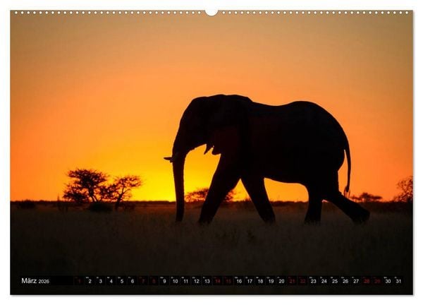 Produktbild: Faszination Botswana (hochwertiger Premium Wandkalender 2026 DIN A2 quer), Kunstdruck in Hochglanz