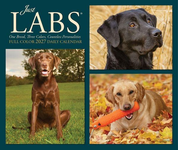 Produktbild: Just Labs 2027 5.4 X 6.2 Box Calendar