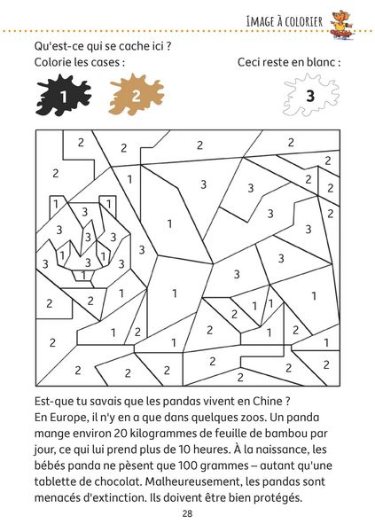 Produktbild: Bloc de casse-t&ecirc;tes et livre activite 6 ans : Des &eacute;nigmes color&eacute;es pour la maternelle - cahier activite 5 ans labyrinthe, sudoku, etc pour stimuler