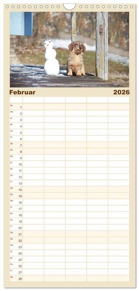 Produktbild: Familienplaner 2026 - Der Dackel mit 5 Spalten (Wandkalender, 21 x 45 cm) CALVENDO