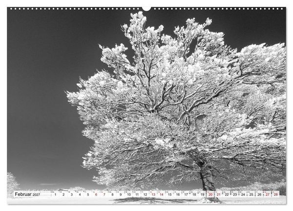 Produktbild: Traumhafte Allg&auml;uer Alpen (hochwertiger Premium Wandkalender 2027 DIN A2 quer), Kunstdruck in Hochglanz