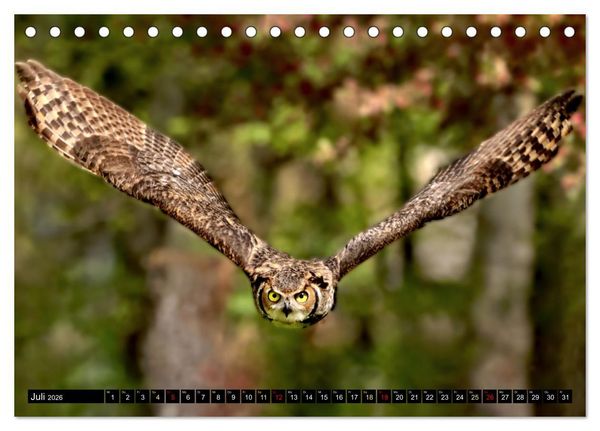 Produktbild: Fantastische V&ouml;gel (Tischkalender 2026 DIN A5 quer), CALVENDO Monatskalender