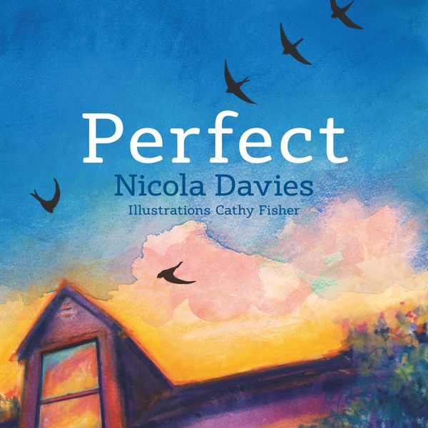 Produktbild: Perfect