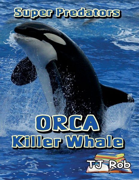 Produktbild: Orca Killer Whale