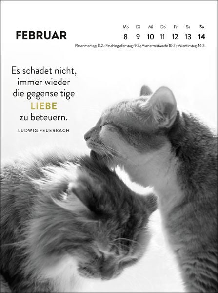 Produktbild: Wochenkalender 2027: Goldene Katzenweisheiten f&uuml;r jeden Tag