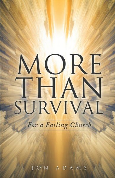 Produktbild: More Than Survival