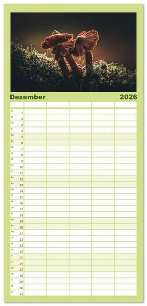 Produktbild: Familienplaner 2026 - Wundersame Pilzwelten mit 5 Spalten (Wandkalender, 21 x 45 cm) CALVENDO