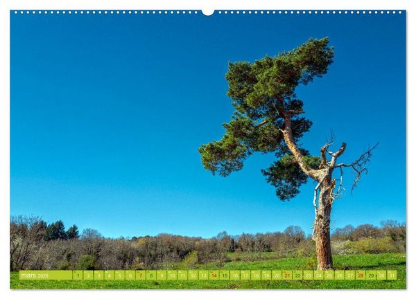 Produktbild: Solitude verdoyante (Calendrier mural 2026 DIN A2 vertical), CALVENDO calendrier mensuel