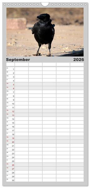 Produktbild: Familienplaner 2026 - Rabenschwarze Impressionen - meike-ajo-dettlaff.de via wildvogelhlfe.org mit 5 Spalten (Wandkalender, 21 x 45 cm) CALVENDO