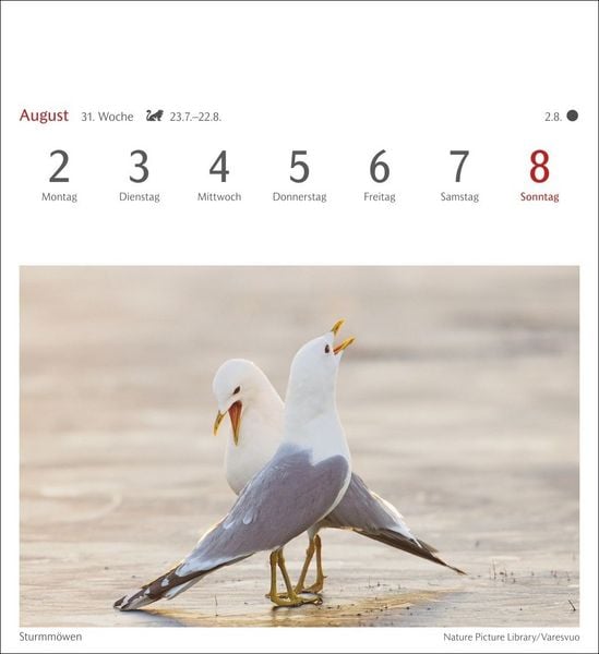 Produktbild: Heimische V&ouml;gel Postkartenkalender 2027 - Wochenkalender mit 53 Postkarten