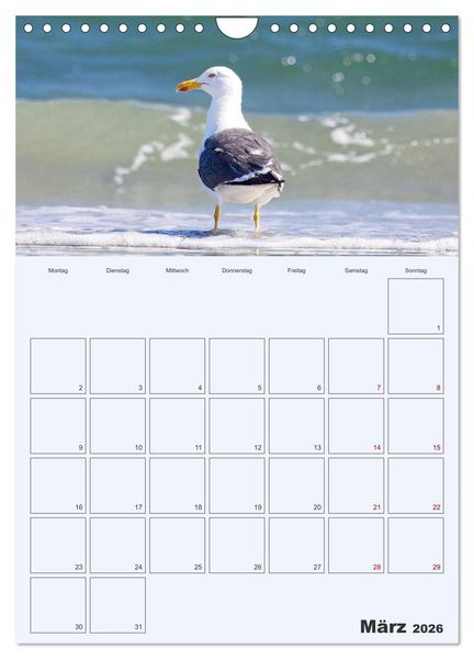Produktbild: Wildes Leben auf Helgoland (Wandkalender 2026 DIN A4 hoch), CALVENDO Monatskalender