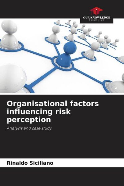 Produktbild: Organisational factors influencing risk perception