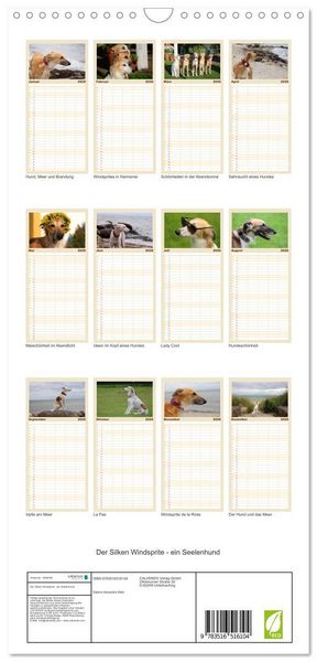Produktbild: Familienplaner 2026 - Der Silken Windsprite - ein Seelenhund mit 5 Spalten (Wandkalender, 21 x 45 cm) CALVENDO
