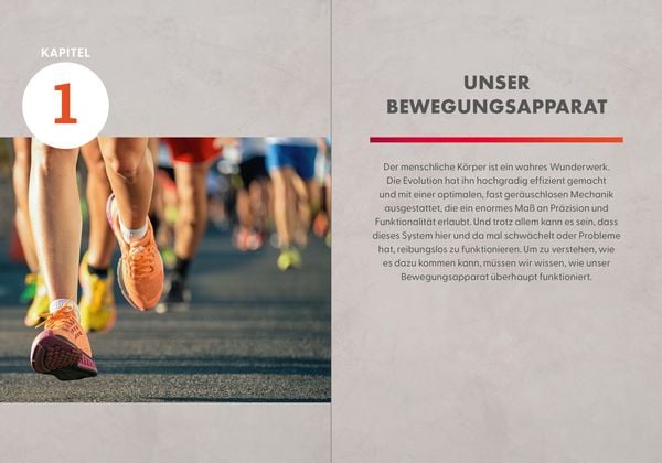 Produktbild: Die Faszienl&uuml;ge