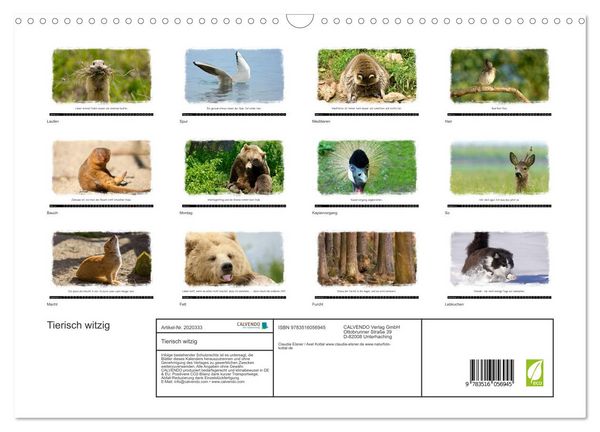 Produktbild: Tierisch witzig (Wandkalender 2026 DIN A3 quer), CALVENDO Monatskalender