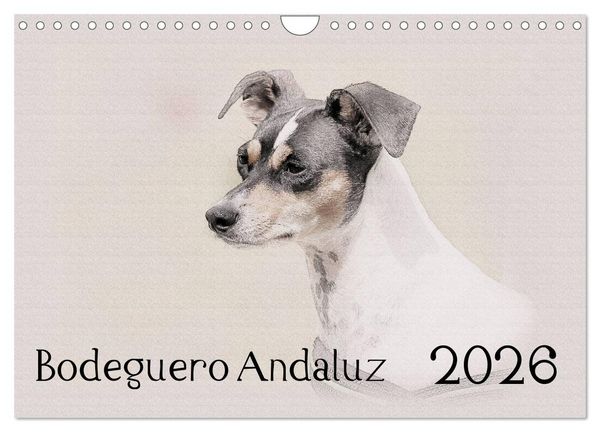 Produktbild: Bodeguero Andaluz 2026 (Wandkalender 2026 DIN A4 quer), CALVENDO Monatskalender
