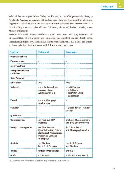 Produktbild: Klett Sicher im Abi Biologie
