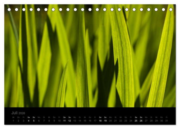 Produktbild: Natur im Detail (Tischkalender 2026 DIN A5 quer), CALVENDO Monatskalender