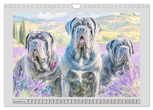 Produktbild: Mastino Napoletano. Die wuchtigen Molosser im Painting-Stil (Wandkalender 2026 DIN A4 quer), CALVENDO Monatskalender