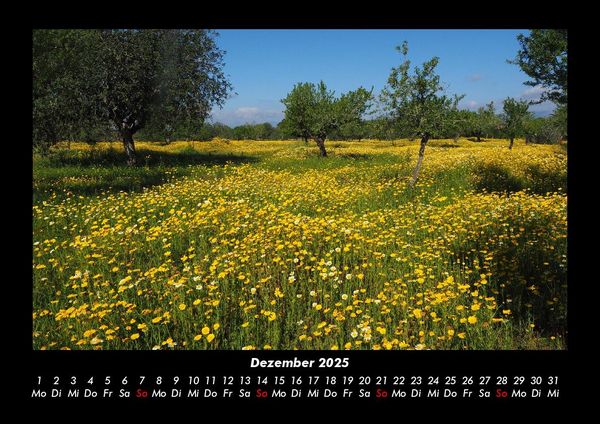 Produktbild: Blumenkalender 2025 Fotokalender DIN A3