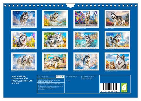 Produktbild: Siberian Husky. Kraftvolle Hunde voller Lebenslust und Energie (Wandkalender 2026 DIN A4 quer), CALVENDO Monatskalender