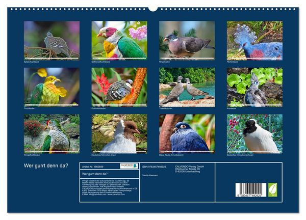 Produktbild: Wer gurrt denn da? (hochwertiger Premium Wandkalender 2026 DIN A2 quer), Kunstdruck in Hochglanz