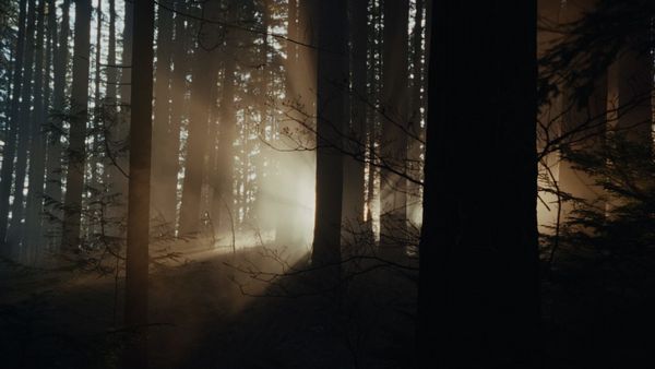 Produktbild: Keeper
