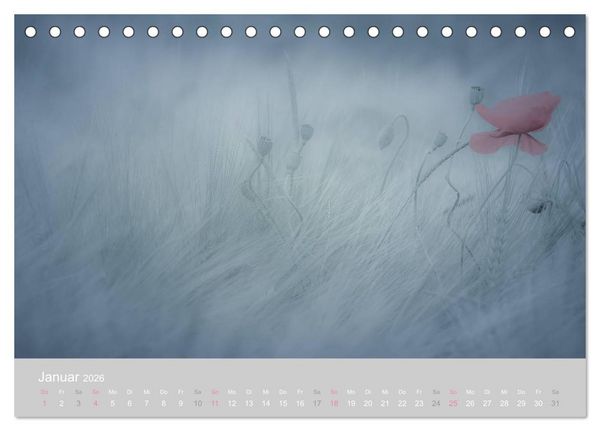 Produktbild: Zauber des Mohns (Tischkalender 2026 DIN A5 quer), CALVENDO Monatskalender