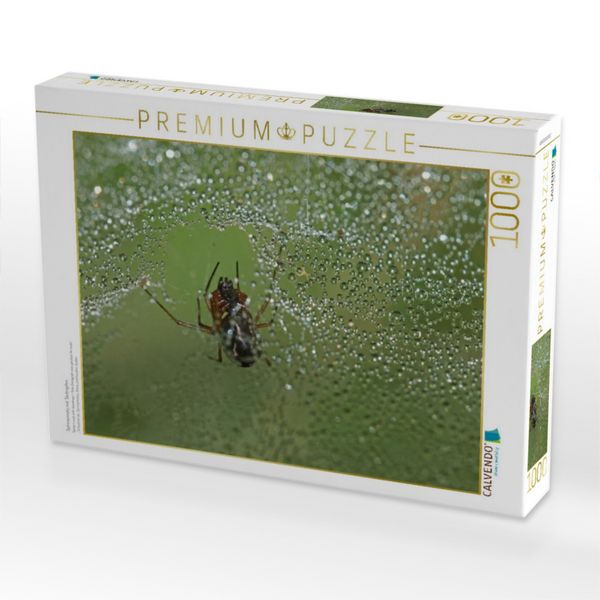 Produktbild: CALVENDO Puzzle Spinnennetz mit Tautropfen | 1000 Teile Lege-Gr&ouml;&szlig;e 64x48cm Foto-Puzzle f&uuml;r gl&uuml;ckliche Stunden